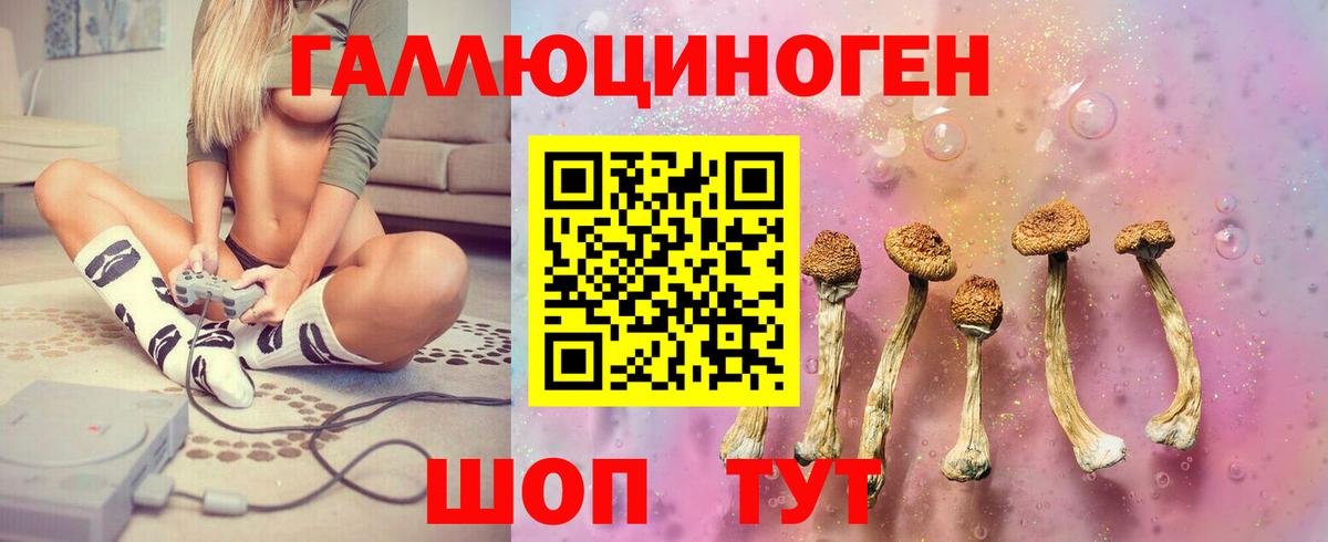 Галлюциногенные грибы Psilocybe  Галлюциногенные грибы Cubensis  Омск 