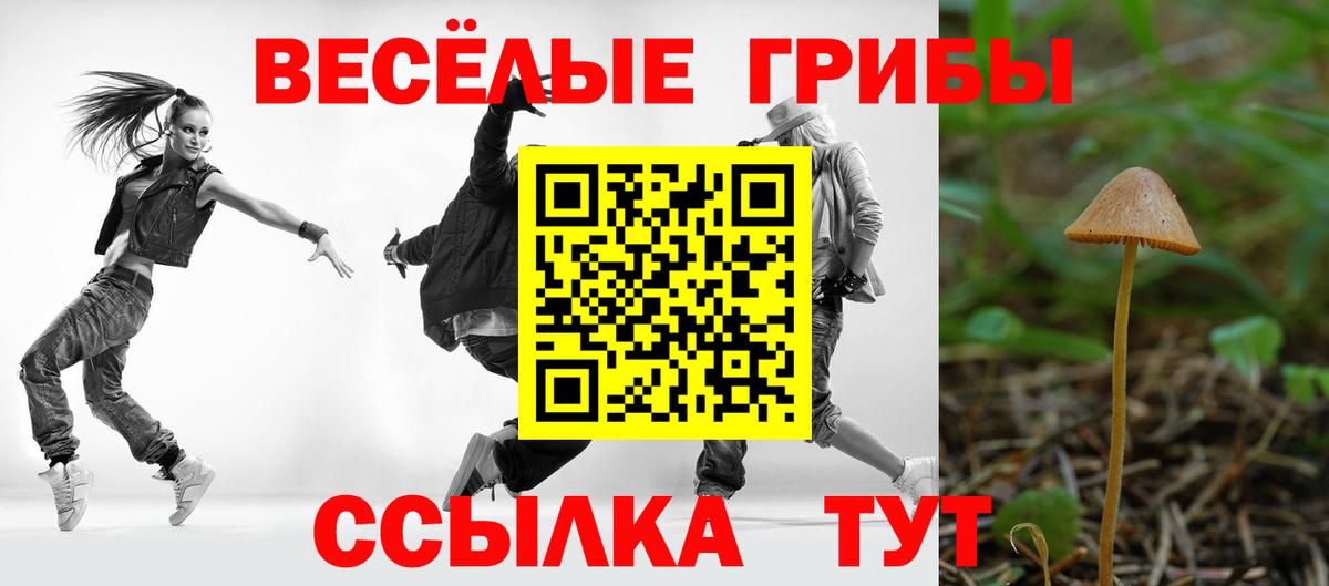 Галлюциногенные грибы прущие грибы Омск
